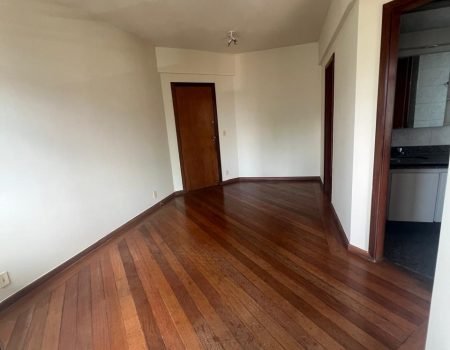Apartamento Santa Efigênia 1 quarto 45m3 (11)