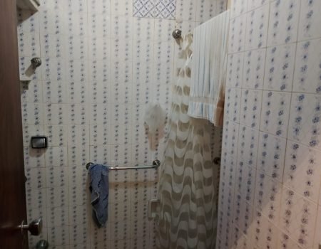 Apartamento centro, 4 quartos 238m2 (25)