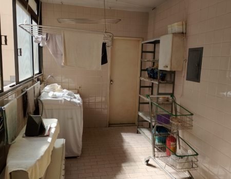 Apartamento centro, 4 quartos 238m2 (32)