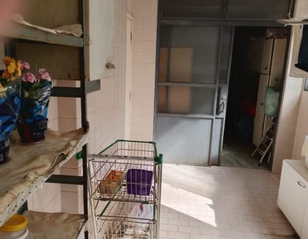 Apartamento centro, 4 quartos 238m2 (35)
